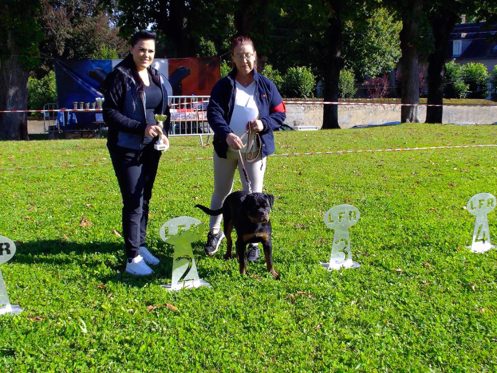 Valkiry Des Amours De Sakura